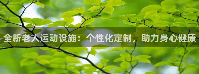 凯捷体育招商电话号码查询：全新老人运动设施：个性化定