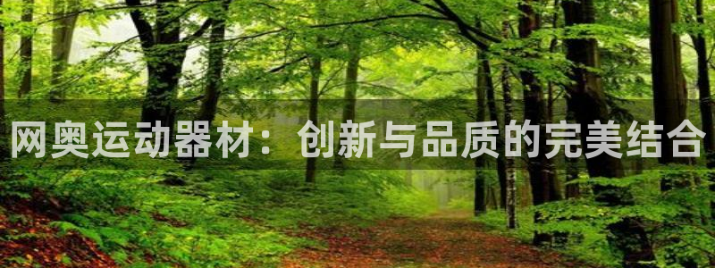 海南凯捷体育：网奥运动器材：创新与品质的完美结合