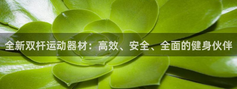 凯捷体育平台注册流程图：全新双杆运动器材：高效、安全
