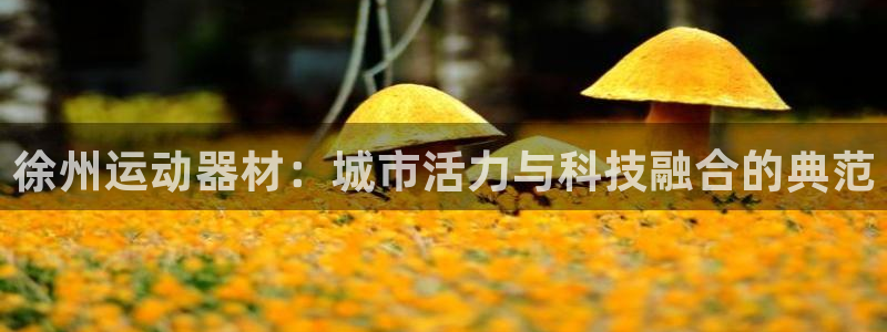 凯捷体育集团logo：徐州运动器材：城市活力与科技融合的典范