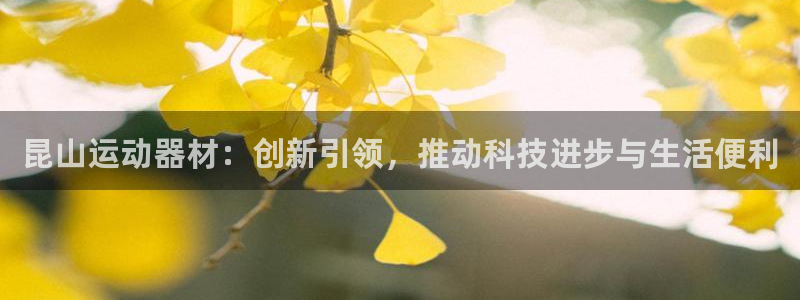 凯捷体育招商电话地址查询：昆山运动器材：创新引领，推动科技进