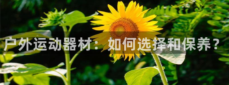 凯捷体育平台注册要钱吗：户外运动器材：如何选择和保养？