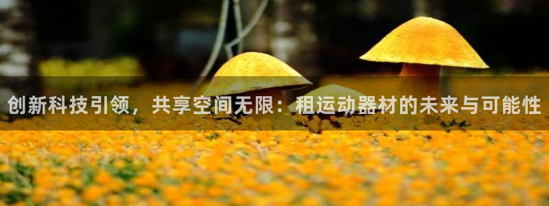 凯捷体育五金厂：创新科技引领，共享空间无限：租运动器材的未来