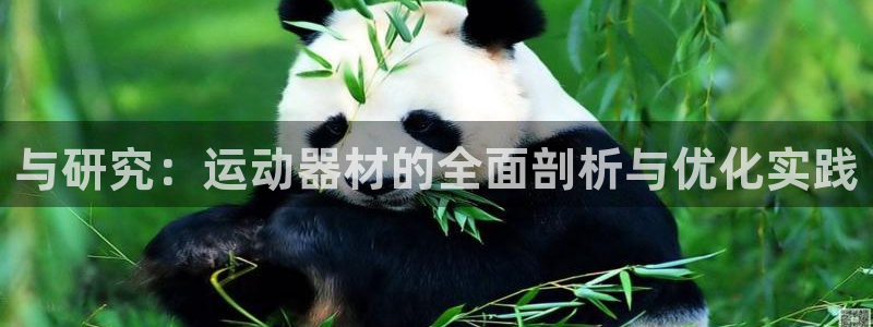 凯捷体育平台注册要钱吗安全吗：与研究：运动器材的全面剖析与优