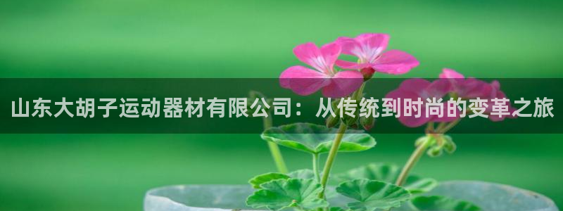 凯捷体育娱乐是那个系列的台子：山东大胡子运动器材有限