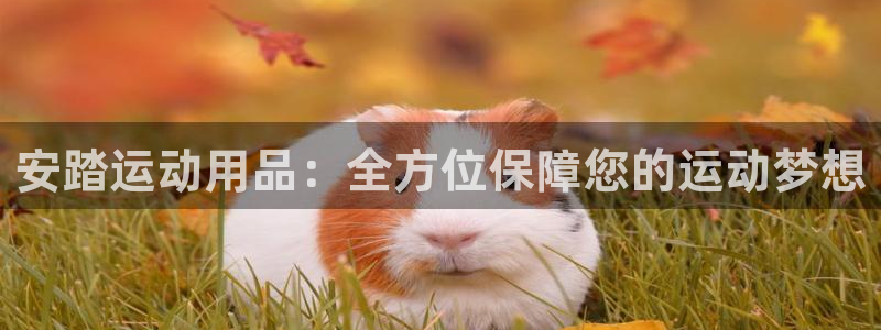 凯捷体育开户
