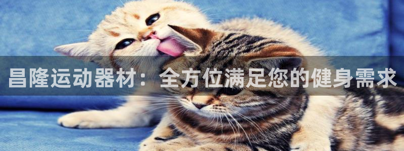凯捷体育招商电话号码是多少：昌隆运动器材：全方位满足您的健身