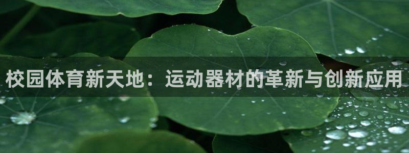 凯捷体育招商电话：校园体育新天地：运动器材的革新与创新应用