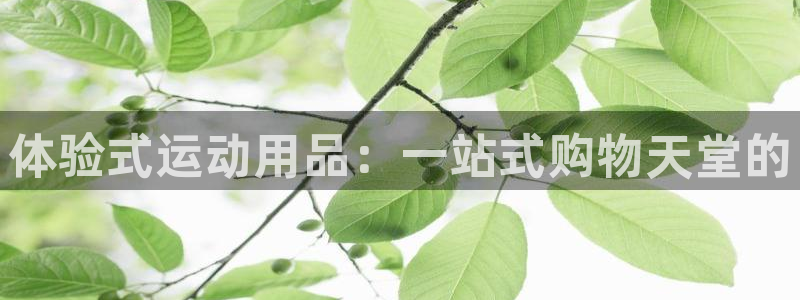 凯捷体育娱乐平台