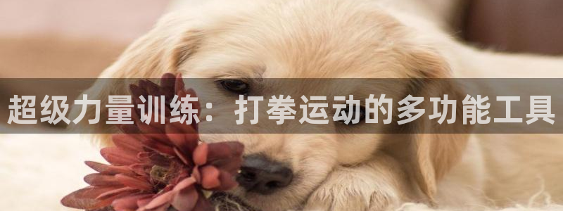 凯捷体育招商电话是多少啊