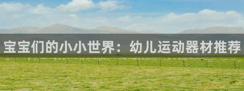 凯捷体育平台：宝宝们的小小世界：幼儿运动器材推荐