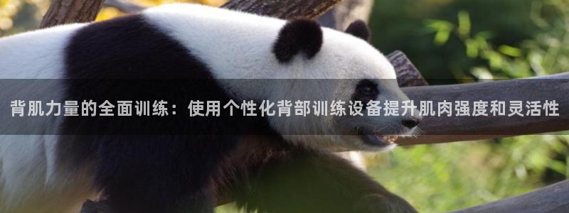 凯捷体育集团简介：背肌力量的全面训练：使用个性化背部训练设备