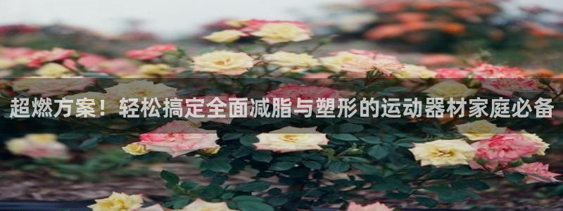 凯捷体育平台注册要钱吗安全吗：超燃方案！轻松搞定全面减脂与塑
