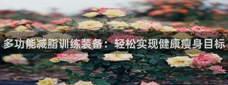 凯捷体育平台注册要钱吗安全吗：多功能减脂训练装备：轻