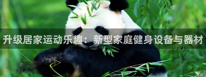 凯捷体育招商电话地址是多少:升级居家运动乐趣:新型家庭健身设