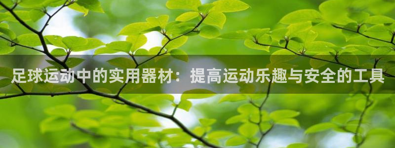 凯捷体育平台注册要钱吗:足球运动中的实用器材:提高运动乐趣与