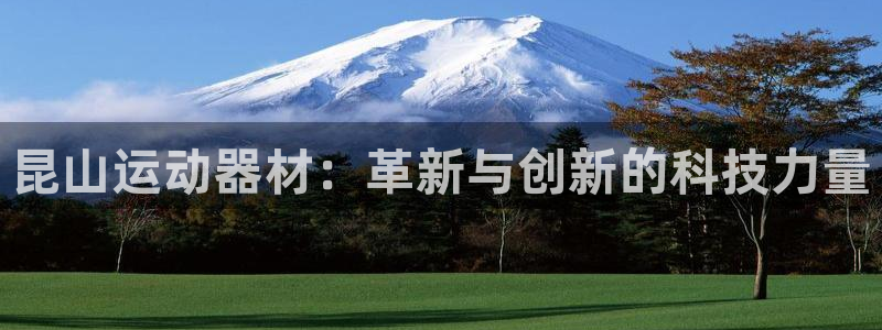 凯捷体育集团E.ON