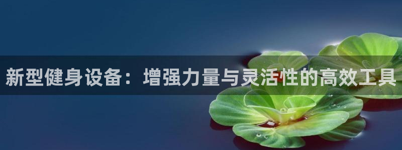 凯捷体育五金厂:新型健身设备:增强力量与灵活性的高效工具