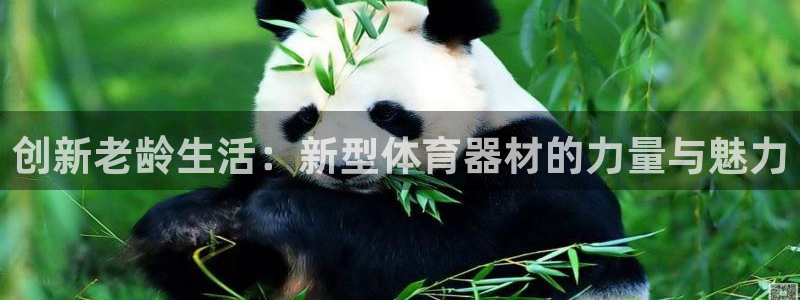 凯捷体育平台是正规平台吗安全吗