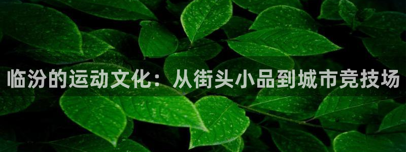 凯捷体育招商电话号码查询：临汾的运动文化：从街头小品