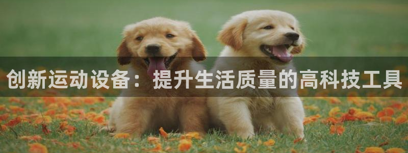 凯捷体育是干嘛的公司