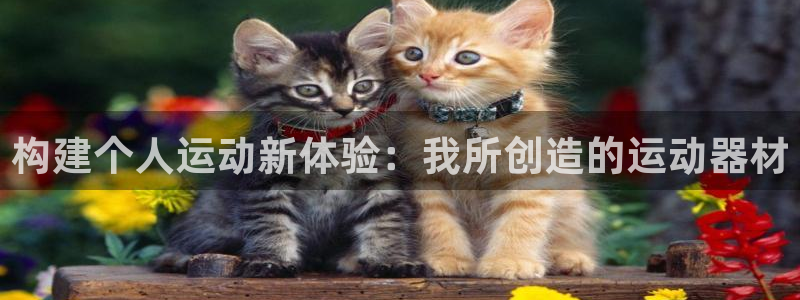 凯捷体育集团官网网址：构建个人运动新体验：我所创造的运动器材