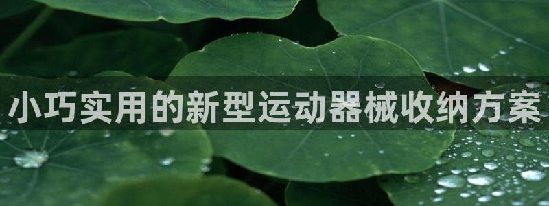 凯捷体育集团E.ON：小巧实用的新型运动器械收纳方案