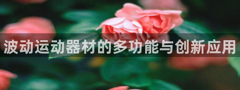 德国凯捷体育集团：波动运动器材的多功能与创新应用