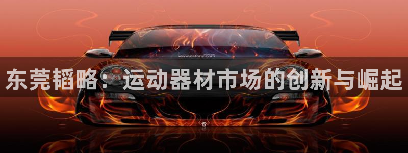 凯捷体育平台是正规平台吗：东莞韬略：运动器材市场的创新与崛起