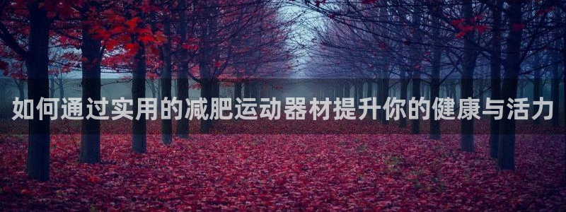 凯捷体育官方：如何通过实用的减肥运动器材提升你的健康