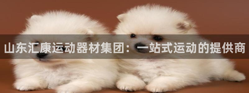 海南凯捷体育：山东汇康运动器材集团：一站式运动的提供商