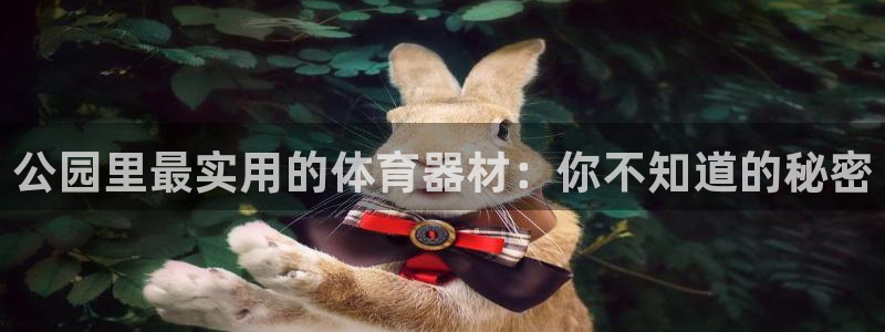 凯捷体育招商电话地址