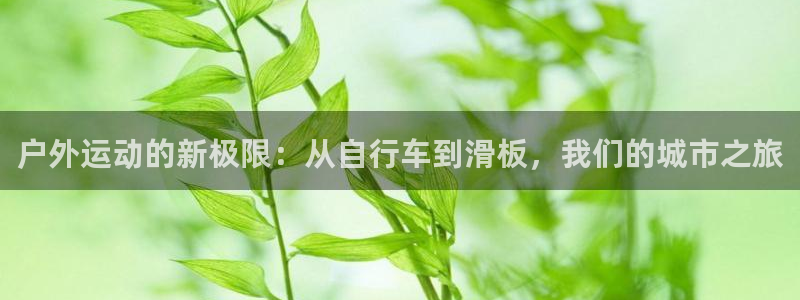 凯捷体育平台注册流程视频：户外运动的新极限：从自行车