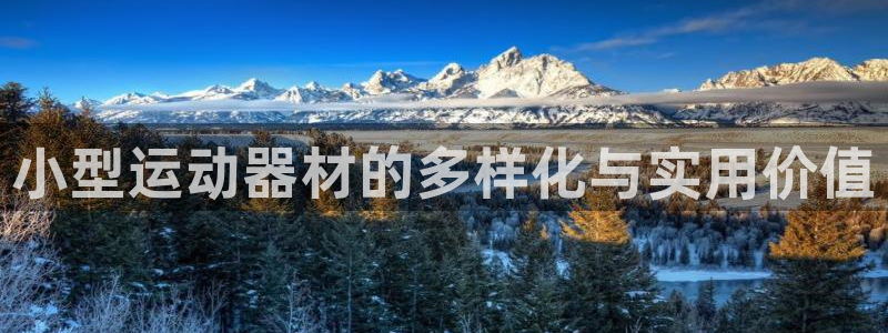 凯捷体育软件