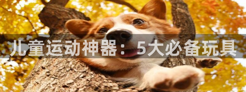 凯捷体育娱乐网站