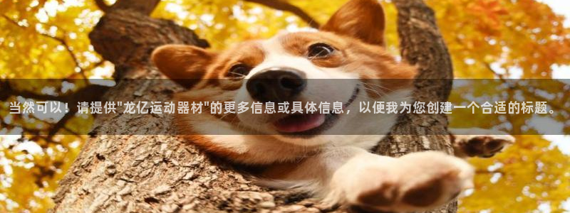 凯捷体育新能源