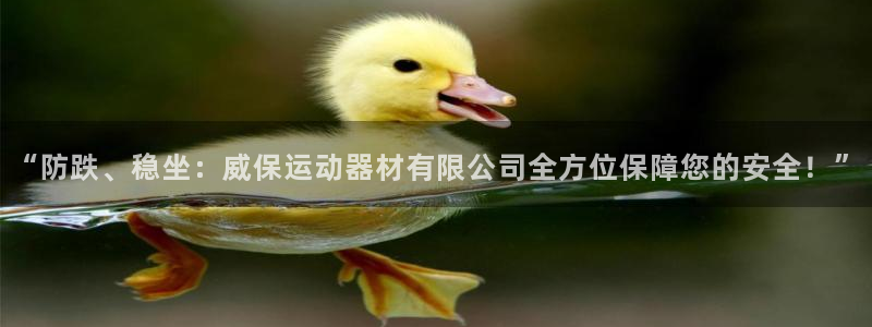 凯捷体育官方：“防跌、稳坐：威保运动器材有限公司全方位保障您
