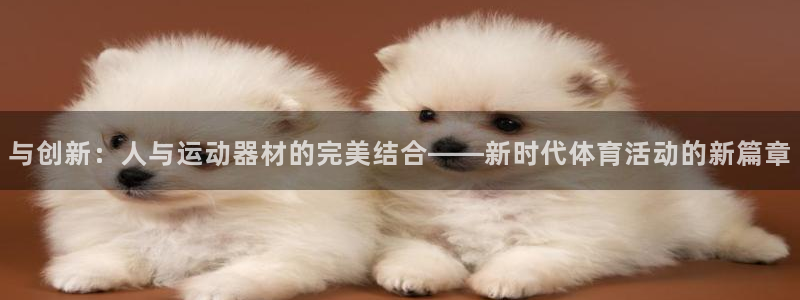 凯捷体育官方客服电话