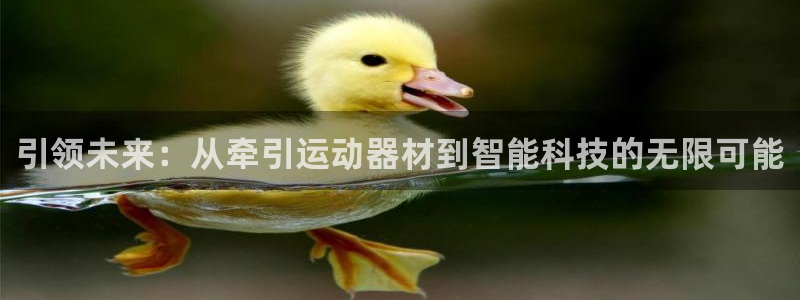 凯捷体育集团简介