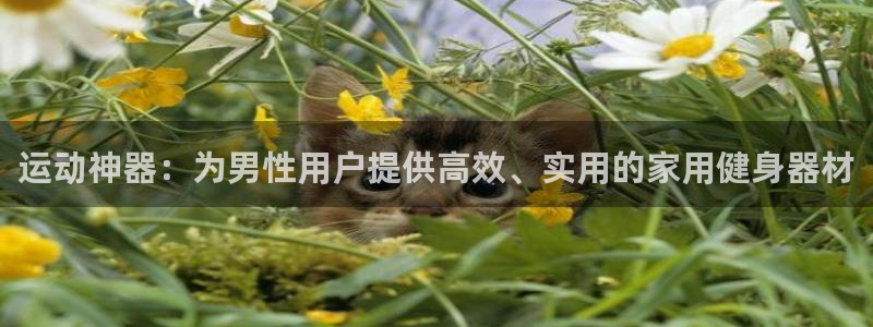 凯捷体育平台注册流程视频：运动神器：为男性用户提供高效、实用